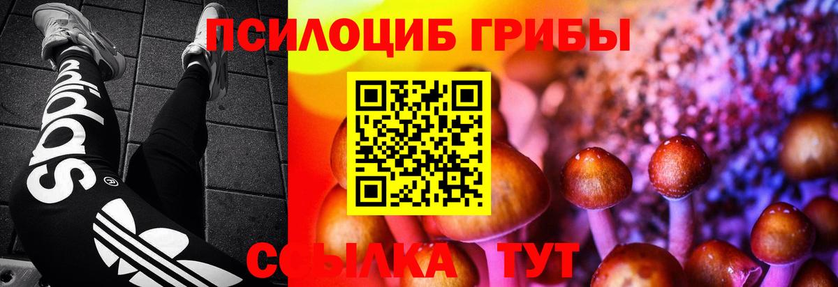 Михайловск  Псилоцибиновые грибы GOLDEN TEACHER  Вход с VPN 